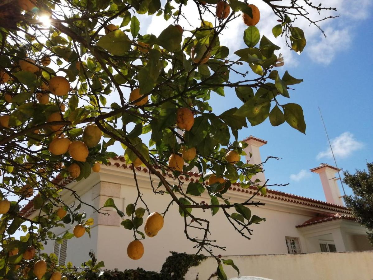 فندق كاسكايسفي  Limmo Garden - Alto Do Estoril المظهر الخارجي الصورة